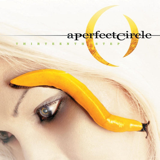 A Perfect Circle – Thirteenth Step (2xLP)
