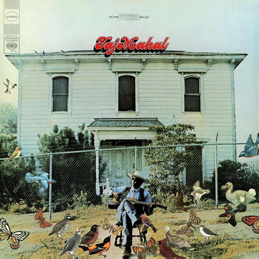 Taj Mahal – Taj Mahal