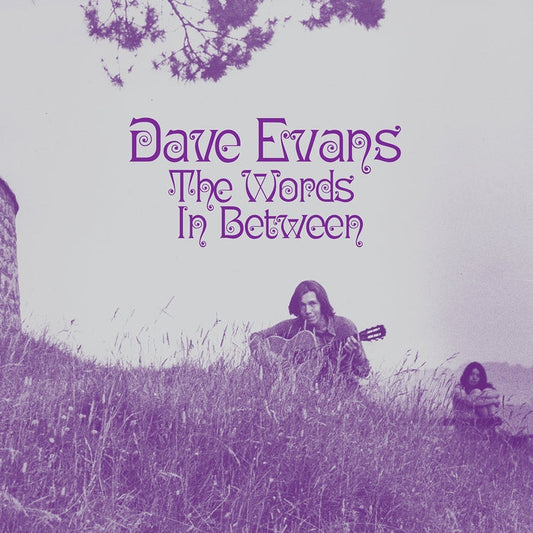 Dave Evans – The Words In Between (Light in the Attic)