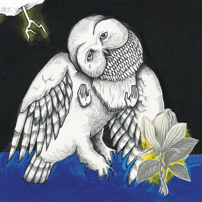 Songs: Ohia – The Magnolia Electric Co