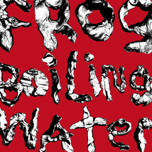 DIIV – Frog In Boiling Water