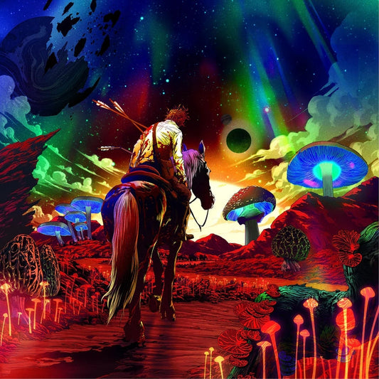 Father John Misty – Greatish Hits: I Followed My Dreams And My Dreams Said To Crawl (2xLP, Coloured Vinyl)