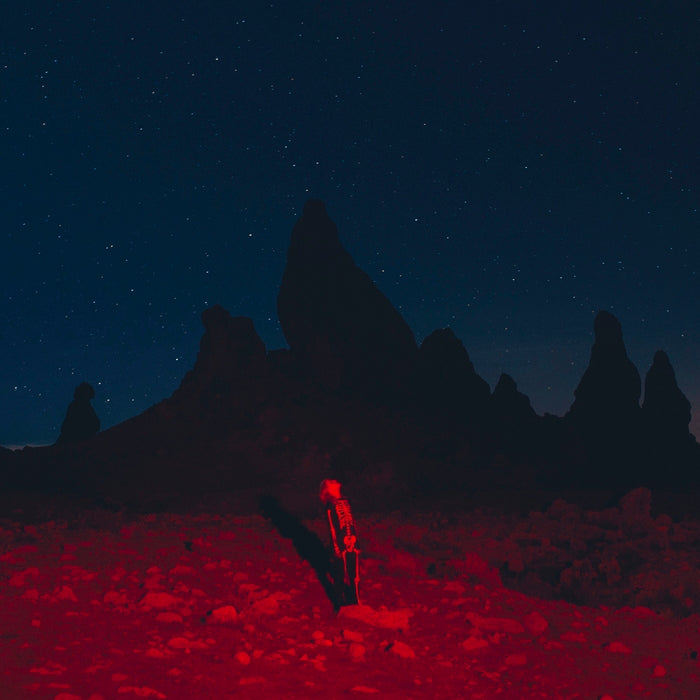 Phoebe Bridgers – Punisher