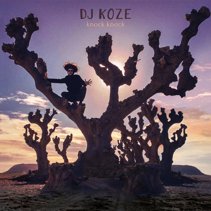 Knock Knock – DJ Koze (2xLP)